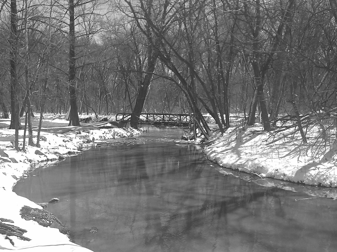 Lemon Park-Pratt必去景点
