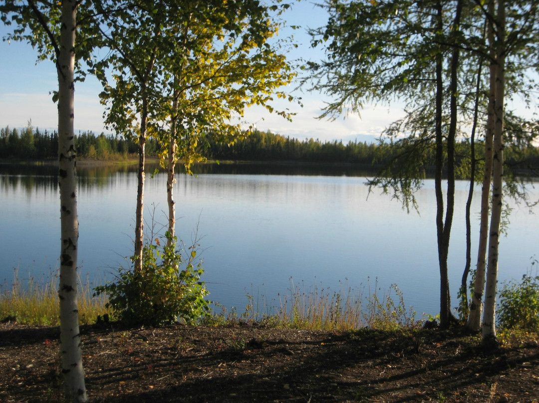 阿拉斯加野生景观之旅