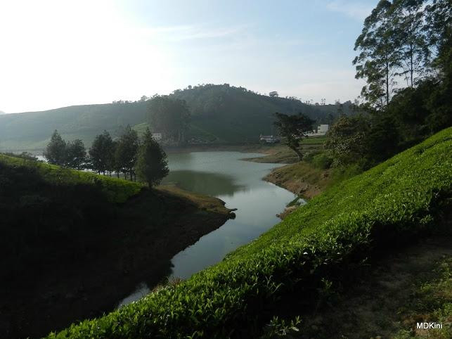 Megamalai Wildlife Sanctuary景点图片