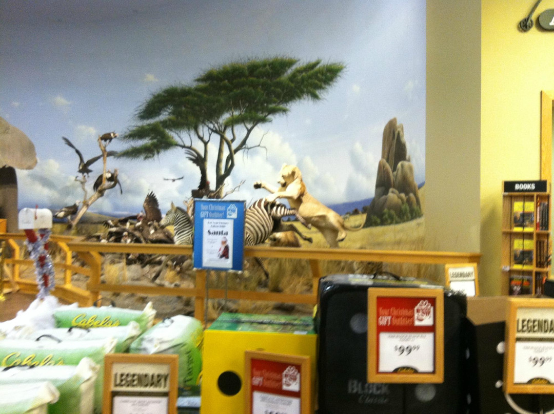 Cabela's-Owatonna必去景点