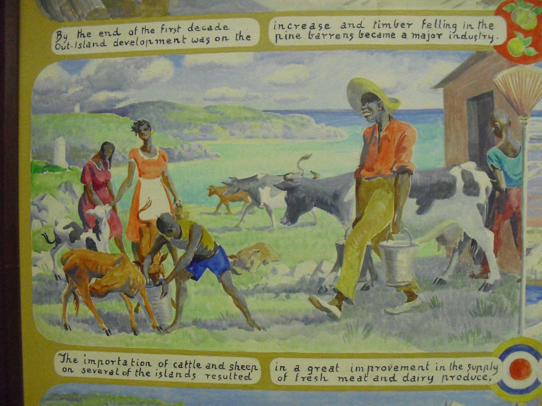 Bahamas Historical Society景点图片