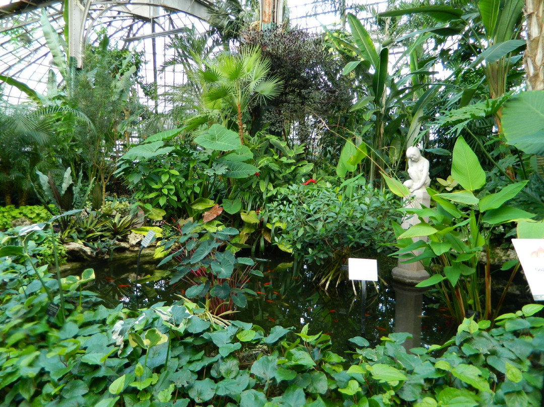 林肯公园花房-芝加哥必去景点