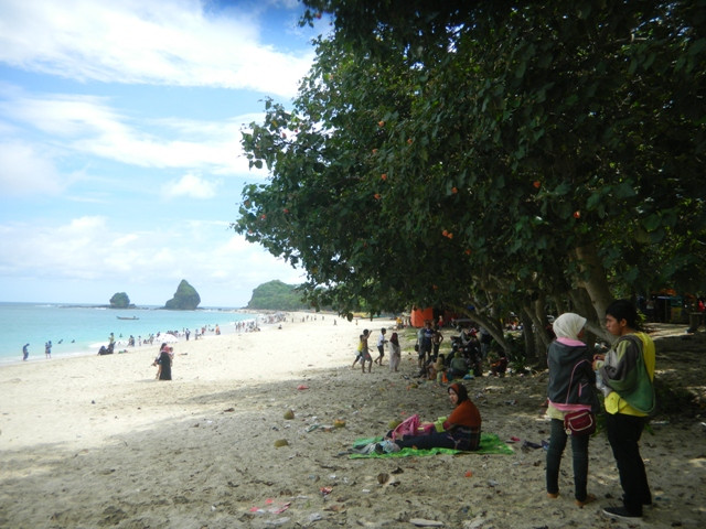 Tanjung Papuma景点图片