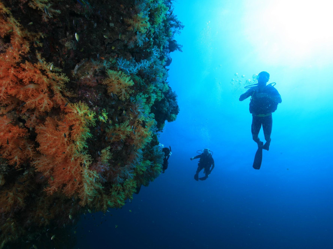 Anti Gravity Divers-兰塔岛必去景点