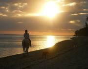 HORSE RIDING RIAMBEL- Centre Equestre De Riambel-Riambel必去景点