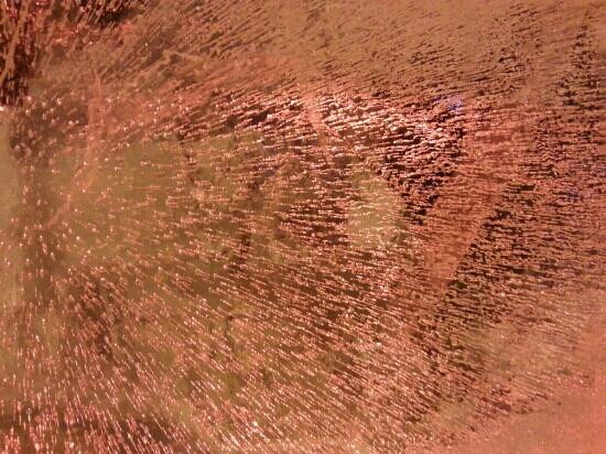 索科尔尼基公园-莫斯科必去景点