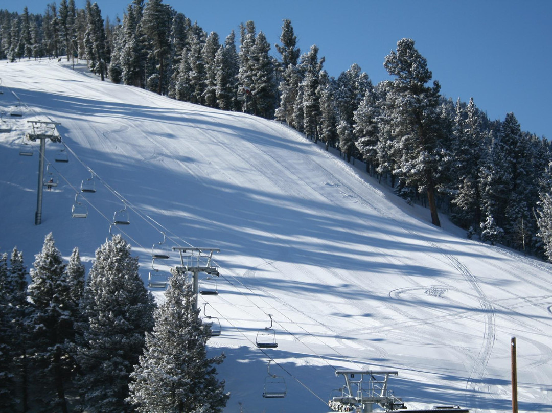 Wild Bill's Lodging主图