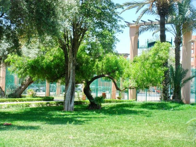 Jardin Jnane El Harti景点图片