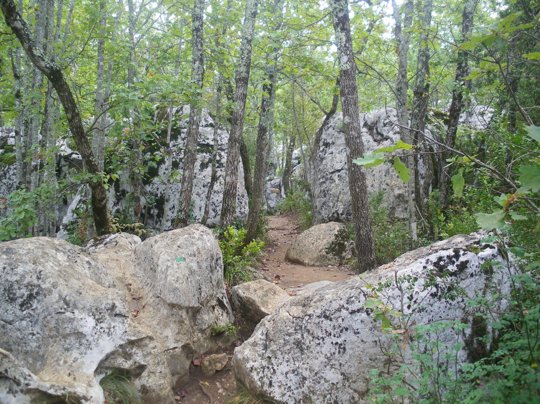 Bois de Païolive景点图片