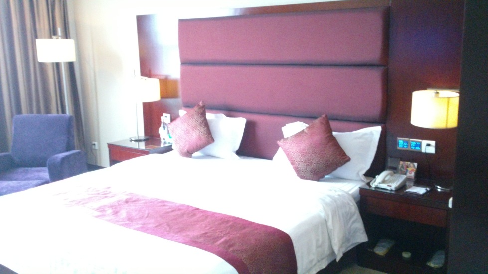 雅斯特国际酒店•YESTE INT'L Hotel（南宁朝阳广场区政府店）-客卧