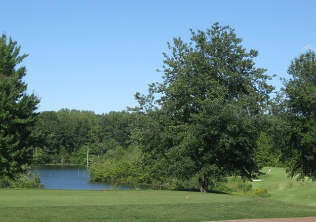 Gauntlet Golf Club景点图片