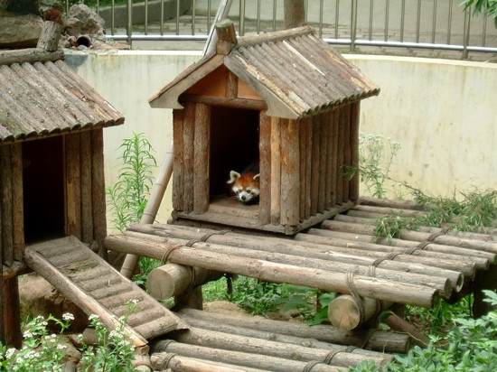 无锡动物园-无锡市必去景点