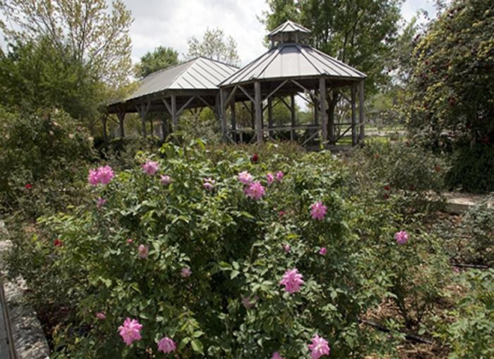 New Braunfels Conservation Society-新布朗费尔斯必去景点