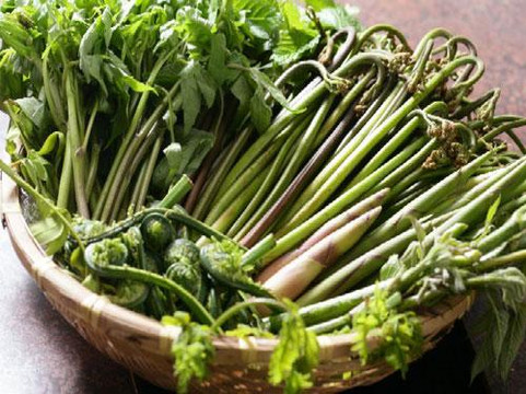 Shunzanso Honkan主图