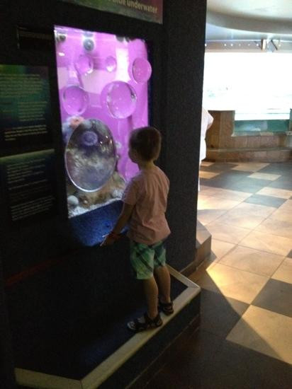 Two Oceans Aquarium-开普敦中心区必去景点