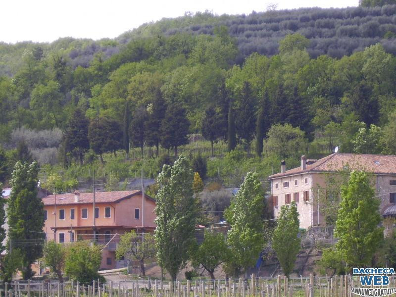 Centro Ippico Agrituristico di Mario Andreis