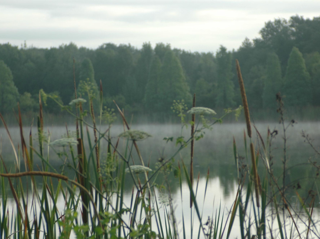 Alafia River State Park-Lithia必去景点