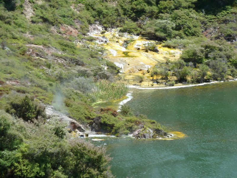 Waimangu Volcanic Valley景点图片