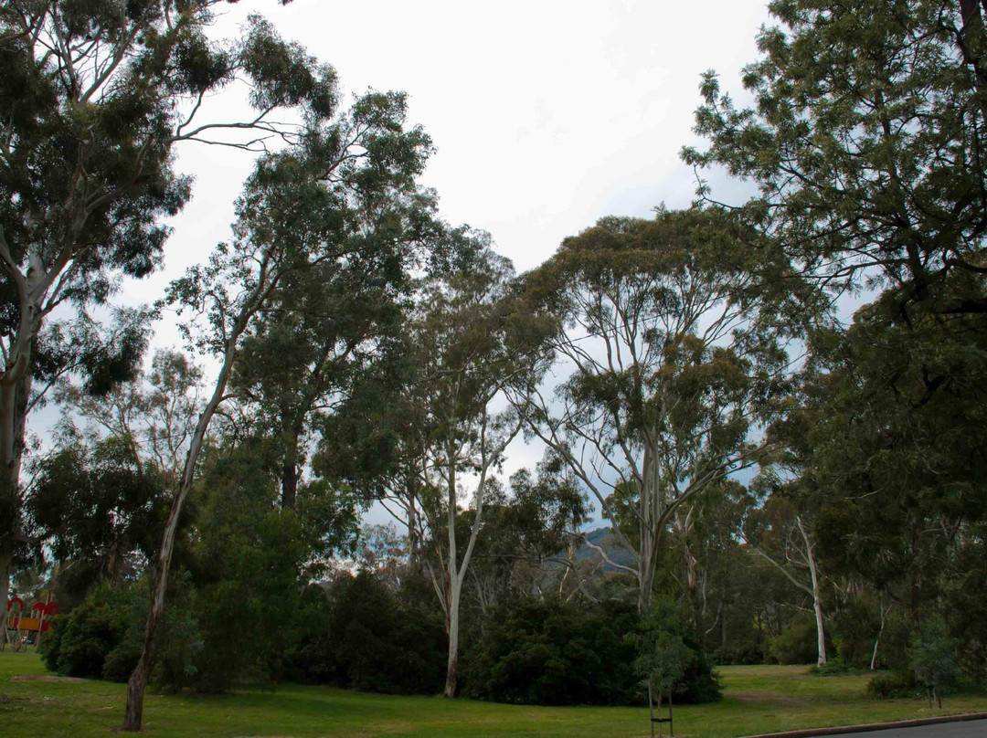 Corroboree Park-堪培拉必去景点