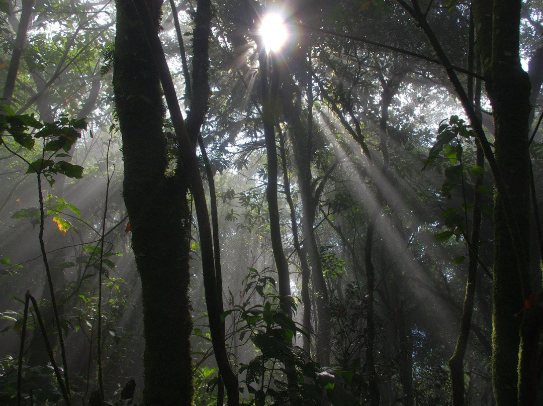 Trilha Chapéu do Bispo-蒙特贝尔德必去景点