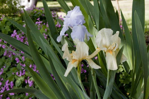 Bed & Breakfast at Mallard Bay主图