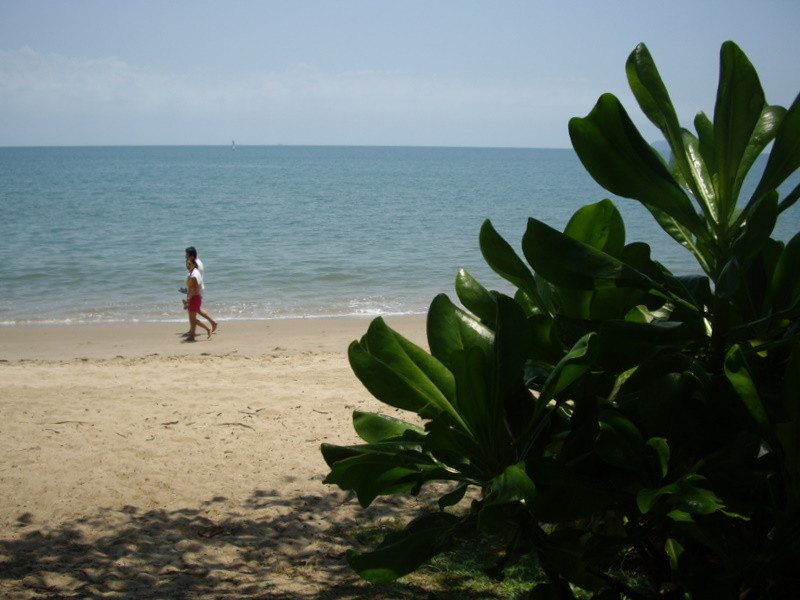Palm Cove Beach-棕榈湾必去景点