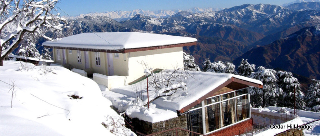 Cedar Hill Lodge Shimla