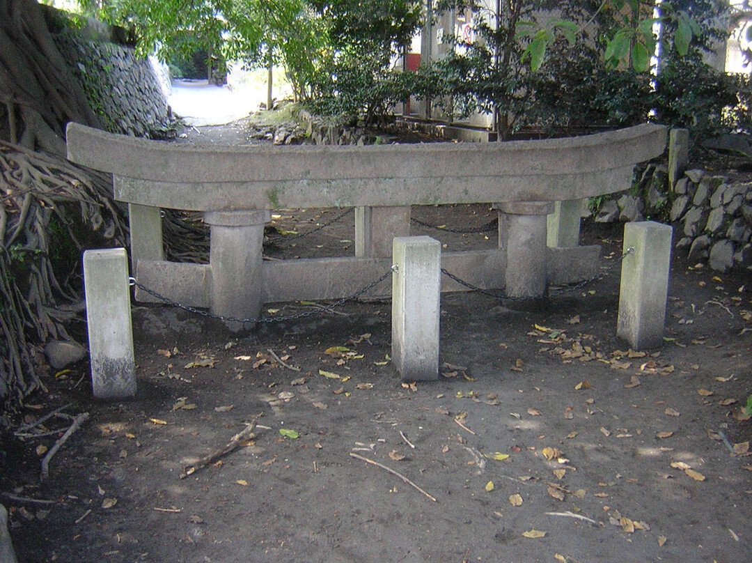 黑神埋没鸟居景点图片