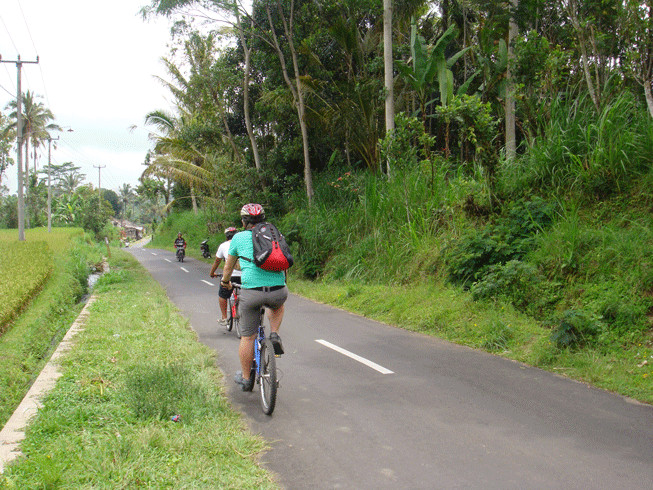 Bali 2000 Cycling - Day Tours景点图片