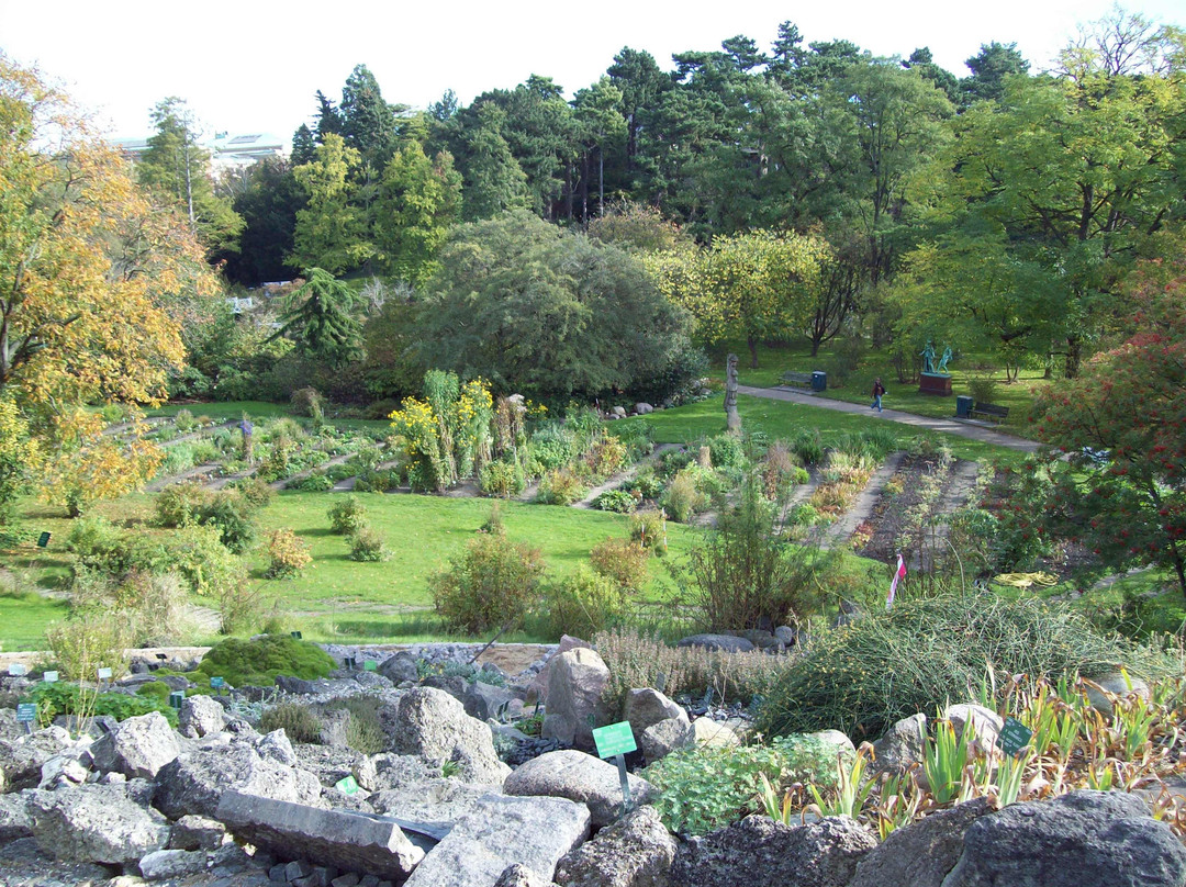 Botanical Garden-哥本哈根必去景点