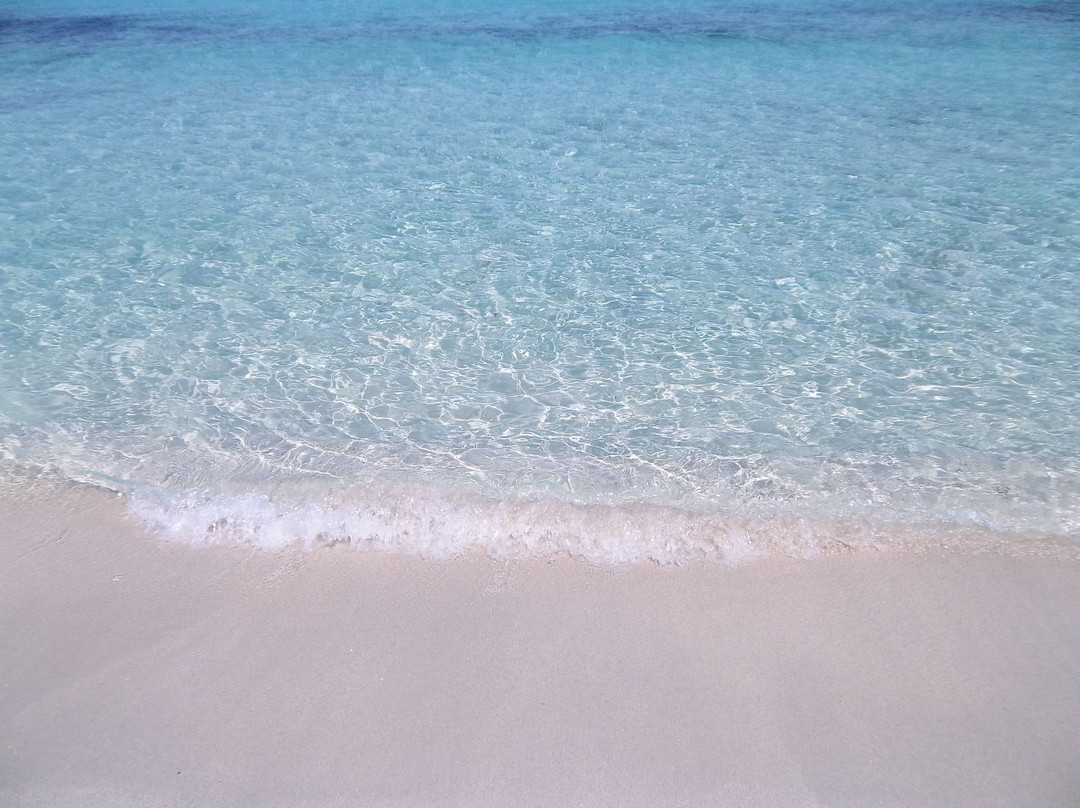 Plage de Saleccia-Santo-Pietro-di-Tenda必去景点