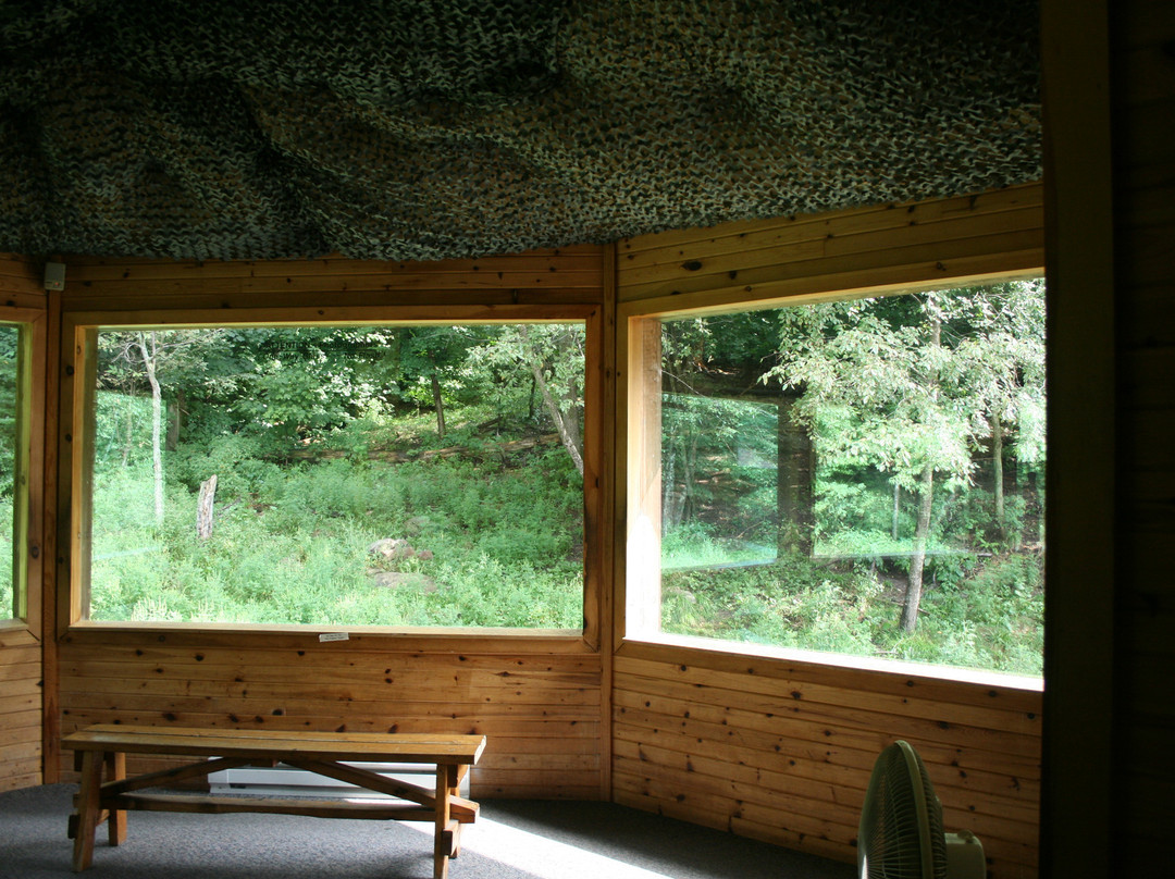 Haliburton Forest and Wild Life Reserve景点图片