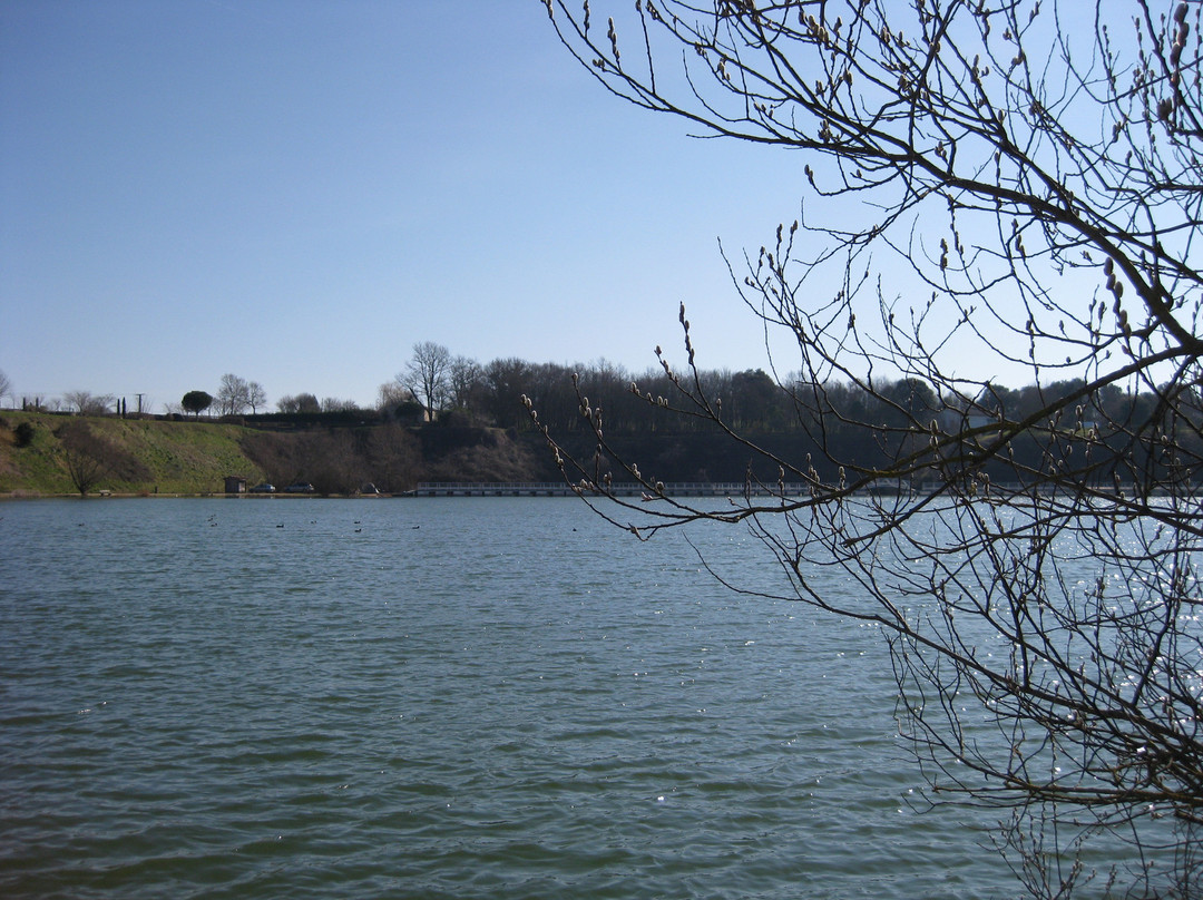 Lac de Trizay景点图片