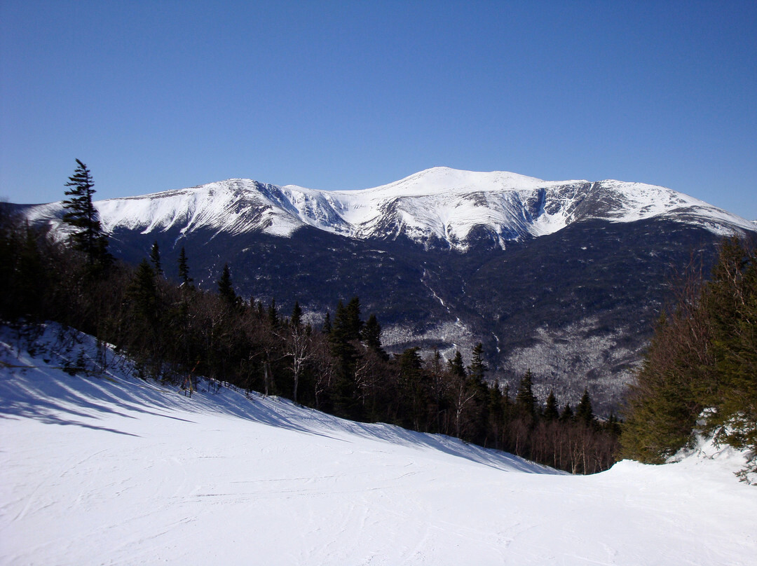Wildcat Mountain-杰克逊必去景点