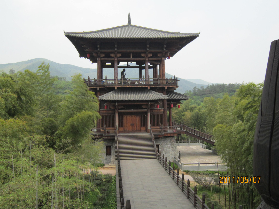 大唐贡茶苑-长兴必去景点