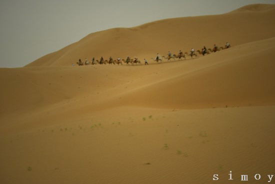 响沙湾沙漠度假区-达拉特旗必去景点