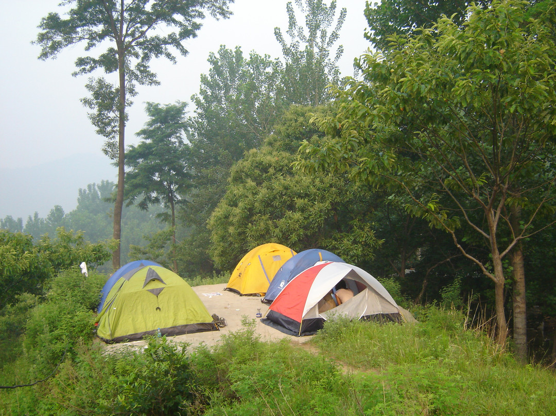 蒙山森林公园-蒙阴县必去景点