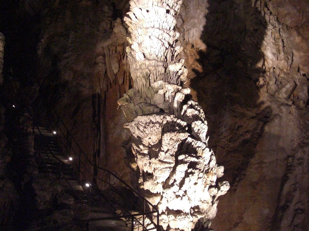 Grotta Gigante景点图片