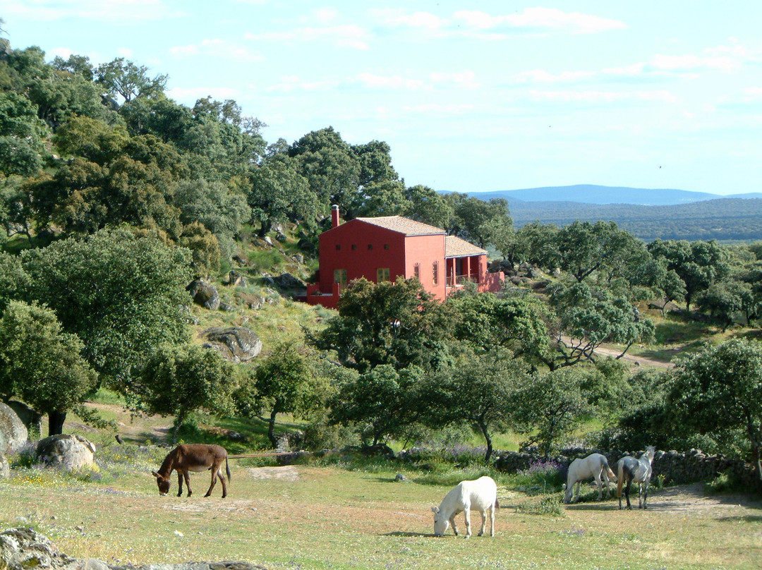 The cortijo and barn at Finca al-manzil, Extremadura