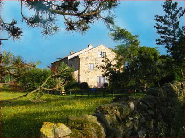 West Nattrass Guesthouse-客卧