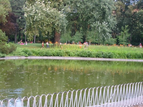 Danube Park-诺维萨德必去景点