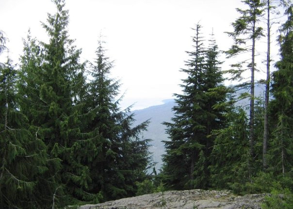 The Grouse Grind-北温哥华必去景点
