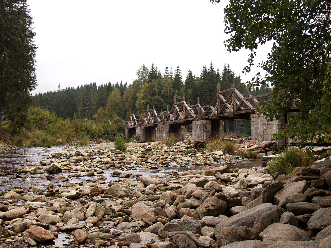 Šumava National Park-波西米亚必去景点