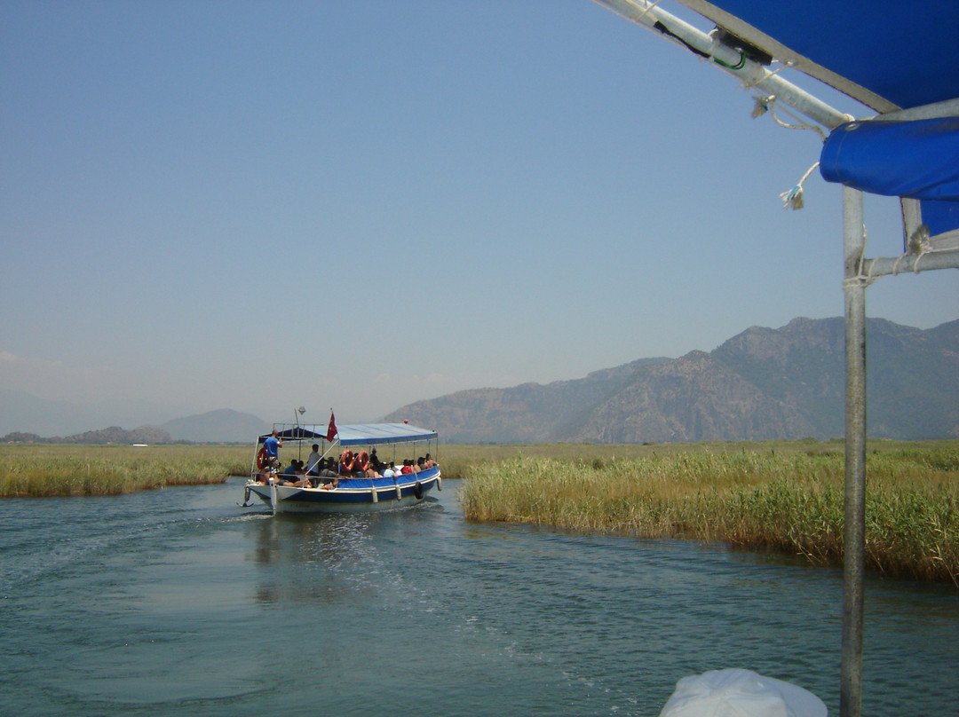 Dalyan Nehri景点图片