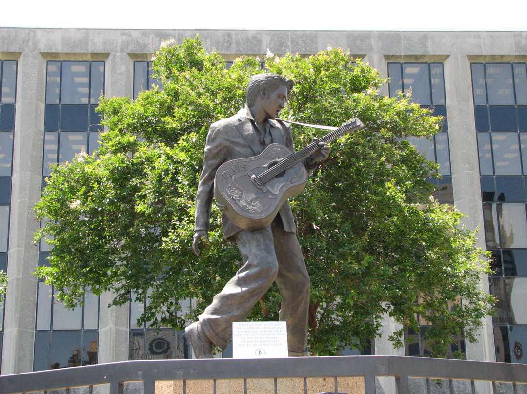 Statue of Elvis景点图片