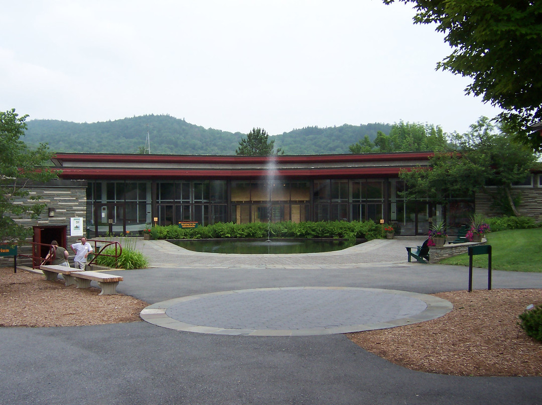 Adirondack Experience, The Museum on Blue Mountain Lake景点图片