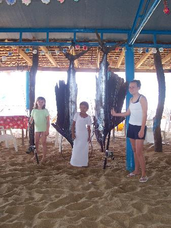 Bahía de Puerto Marques-阿卡普尔科必去景点