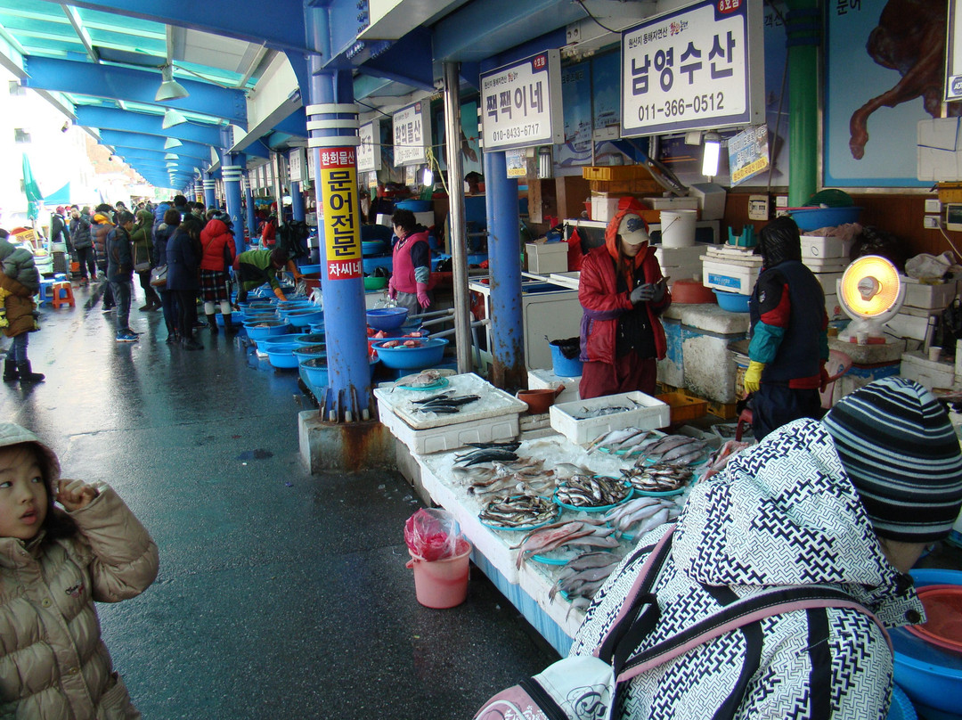 Mukho Port-东海市必去景点
