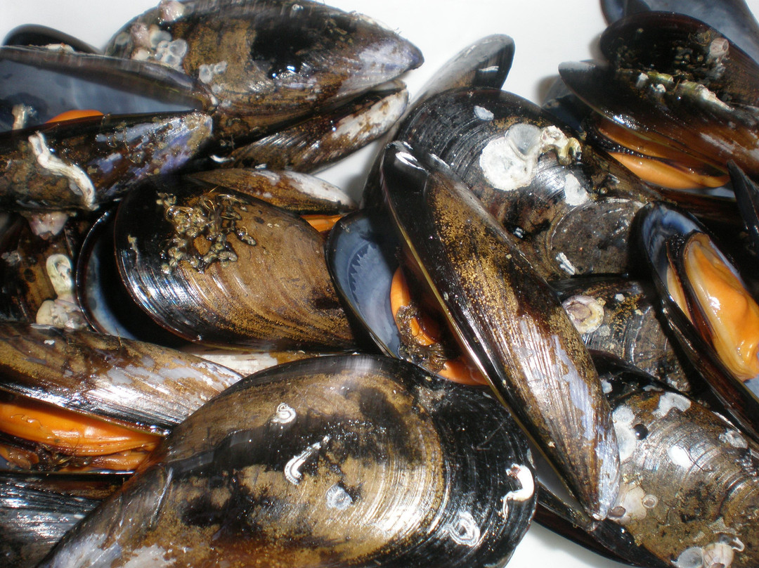 Galicia Incoming Services-圣地亚哥德孔波斯特拉必去景点