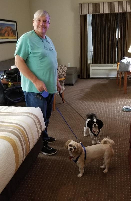 La Quinta Inn & Suites by Wyndham St. George主图